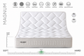 BIENA MAGNUM - Matelas (Mousse Visco)